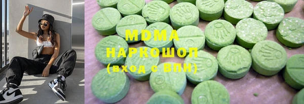 дживик Ельня