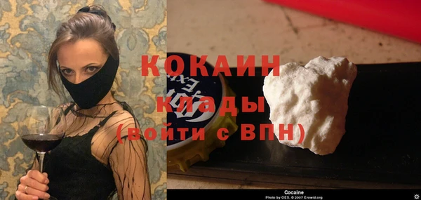 мдпв Елабуга