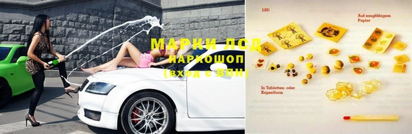 мдпв Елабуга