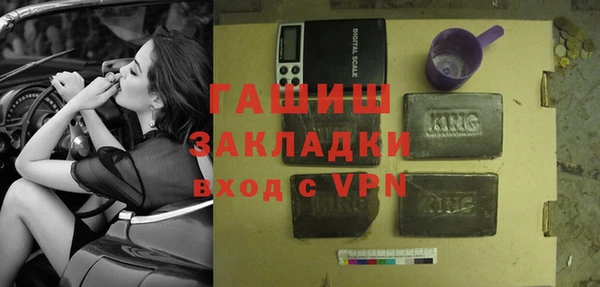 дживик Ельня