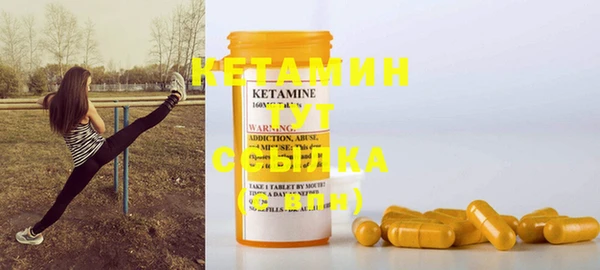 дживик Ельня
