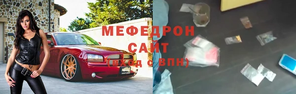 мдпв Елабуга