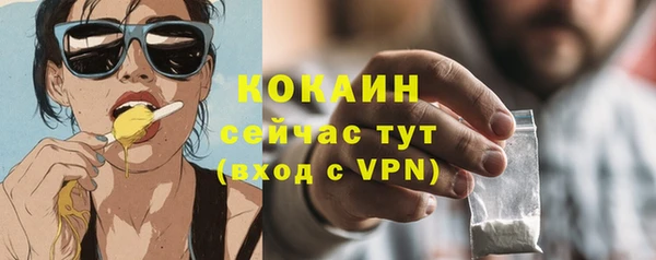 дживик Ельня