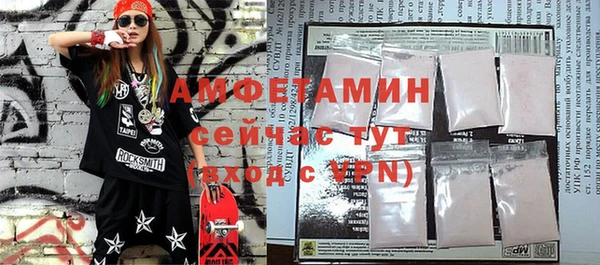 дживик Ельня