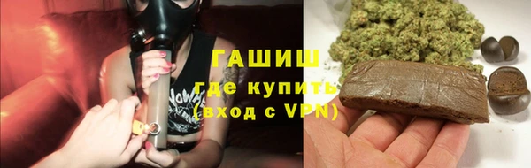 дживик Ельня