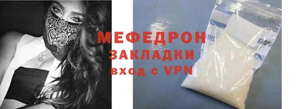 дживик Ельня