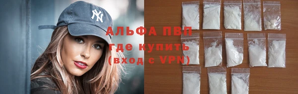мдпв Елабуга
