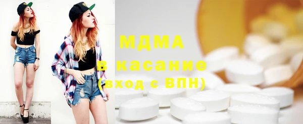 дживик Ельня
