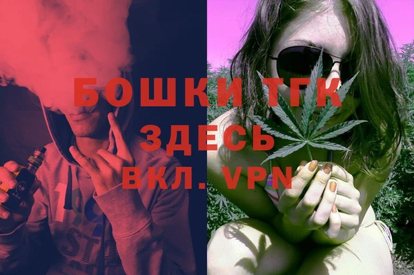 мдпв Елабуга