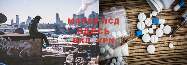 мдпв Елабуга