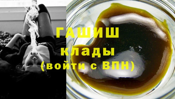 мдпв Елабуга