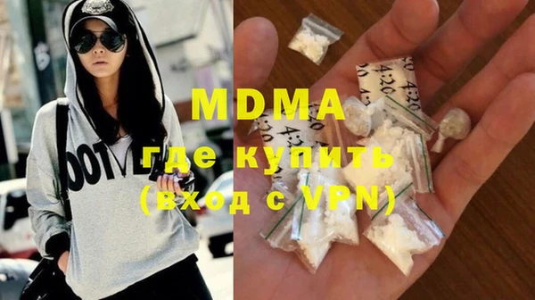 дживик Ельня