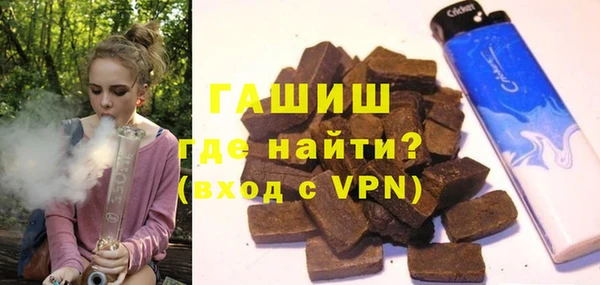 дживик Ельня
