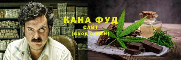дживик Ельня