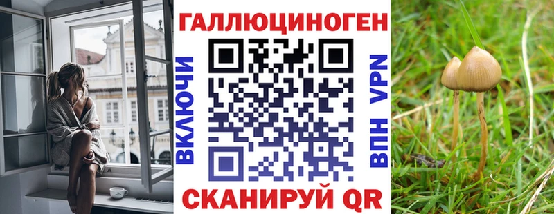 где купить наркоту  Пионерский  Псилоцибиновые грибы Psilocybe 